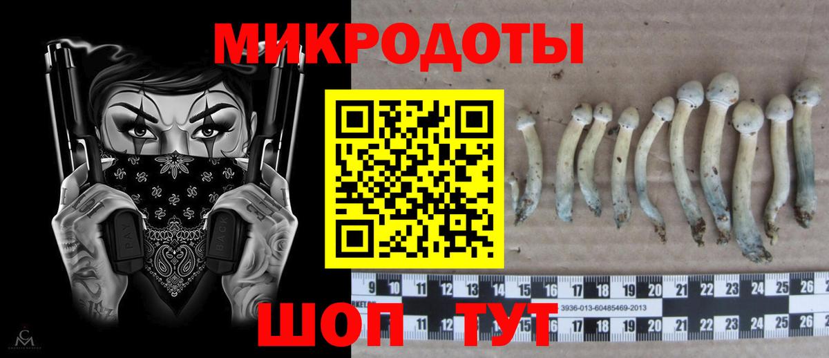 Галлюциногенные грибы GOLDEN TEACHER  Вход с VPN  Кизилюрт  Галлюциногенные грибы Magic Shrooms 